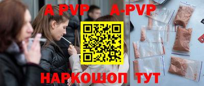 СК Кингисепп