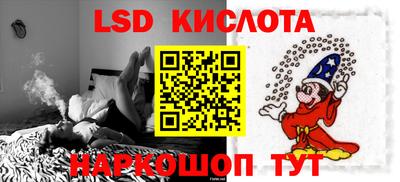 СК Кингисепп