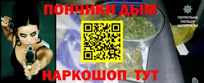 СК Кингисепп