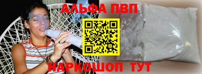 СК Кингисепп