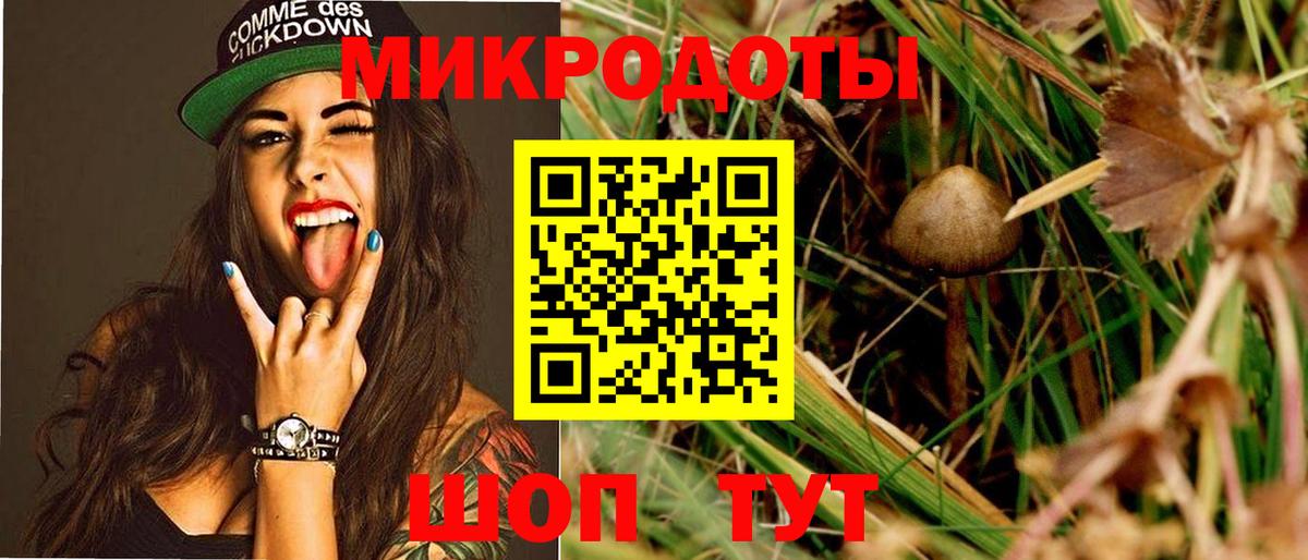 Курчалой  Галлюциногенные грибы Cubensis  Вход с VPN 